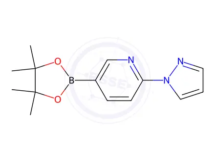Chemical structure of 2-(1H-Pyrazol-1-yl)-5-(4,4,5,5-tetramethyl-1,3,2-dioxaborolan-2-yl)pyridine