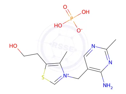 Chemical structure of 3-[(4-ammonio-2-methyl-5-pyrimidinio)methyl]-5-(2-hydroxyethyl)-4-methylthiazolium phosphate