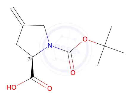 Chemical structure of 4-Methylene-1-Boc-D-proline