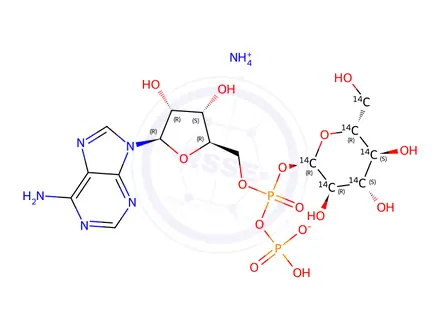 Chemical structure of ADENOSINE 5'-DIPHOSPHO-(D-GLUCOSE-UL-14C) AMMONIUM SALT