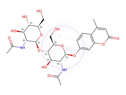Chemical structure of 4-Methylumbelliferyl N-N-diacetyl-β-D-chitobioside