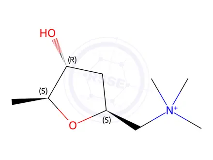Chemical structure of Muscarine