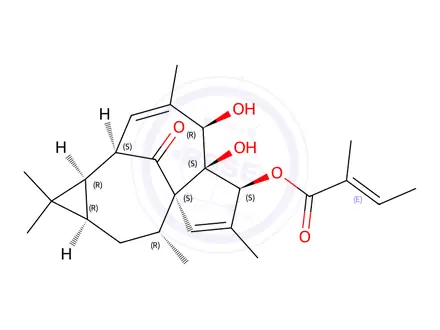 Chemical structure of 20-Deoxyingenol 3-angelate