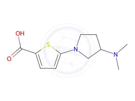 Chemical structure of 5-(3-(Dimethylamino)pyrrolidin-1-yl)thiophene-2-carboxylic acid