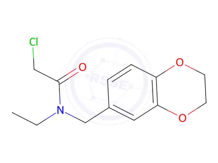 Chemical structure of 2-Chloro-n-(2,3-dihydro-1,4-benzodioxin-6-ylmethyl)-n-ethylacetamide