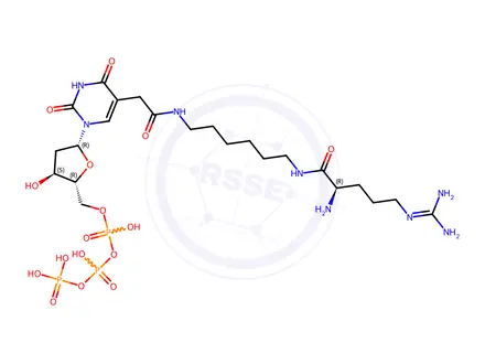 Chemical structure of 5-[2-[[6-[[(2S)-2-Amino-5-[(aminoiminomethyl)amino]-1-oxopentyl]amino]hexyl]amino]-2-oxoethyl]-2'-deoxyuridine 5'-(tetrahydrogen triphosphate)
