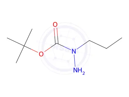 Chemical structure of N-propyl(tert-butoxy)carbohydrazide
