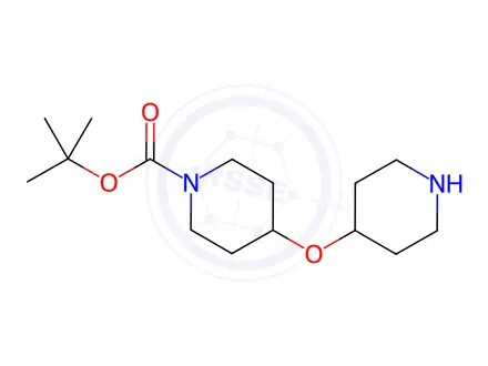 Chemical structure of 4-(Piperidin-4-yloxy)-piperidine-1-carboxylic acid tert-butyl ester