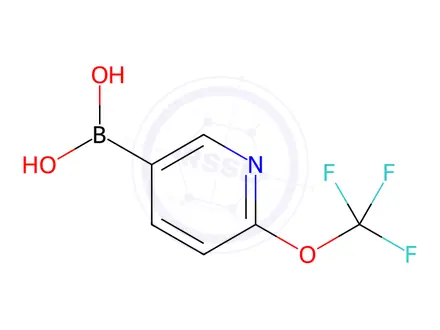 Chemical structure of [6-(TRIFLUOROMETHOXY)PYRIDIN-3-YL]BORONIC ACID