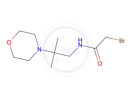 Chemical structure of 2-Bromo-N-(2-methyl-2-morpholinopropyl)acetamide