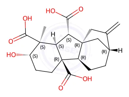 Chemical structure of Gibberellin A13