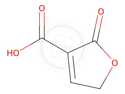 Chemical structure of 2-Oxo-2,5-dihydrofuran-3-carboxylic acid