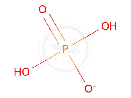 Chemical structure of Sodium di-Hydrogen Phosphate 2-hydrate AR Grade