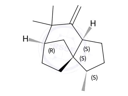 Chemical structure of (3S)-2,3,4,5,6,7,8,8aα-Octahydro-3,7,7-trimethyl-8-methylene-1H-3aα,6α-methanoazulene
