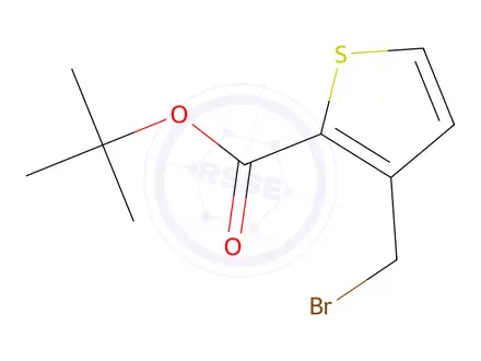 Chemical structure of tert-Butyl 3-(bromomethyl)thiophene-2-carboxylate