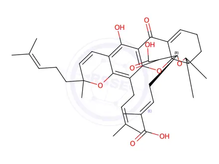 Chemical structure of trans-Garcinolic Acid