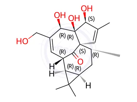 Chemical structure of Ingenol