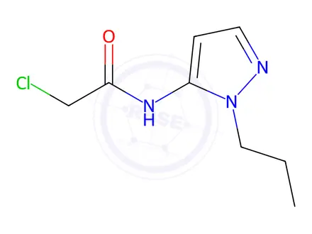 Chemical structure of 2-Chloro-n-(1-propyl-1h-pyrazol-5-yl)acetamide
