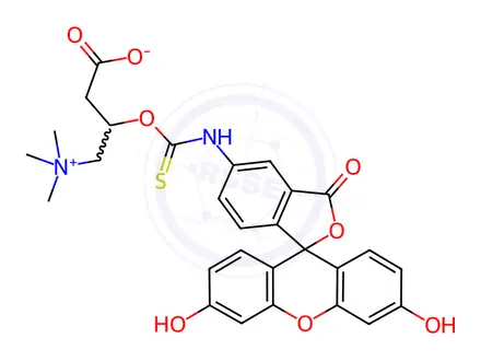 Chemical structure of N-(5-Fluoresceinyl)-L-carnitine-O-thiocarbamate