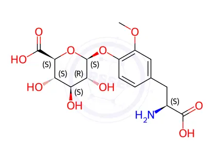 Chemical structure of 3-O-Methyl-L-DOPA 4-Glucuronide
