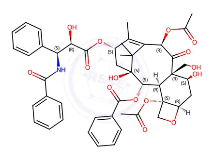 Chemical structure of 19-Hydroxy Paclitaxel