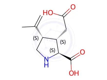 Chemical structure of (-)-a-Kainic Acid