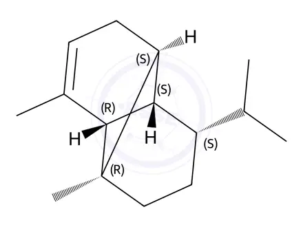 Chemical structure of α-Copaene