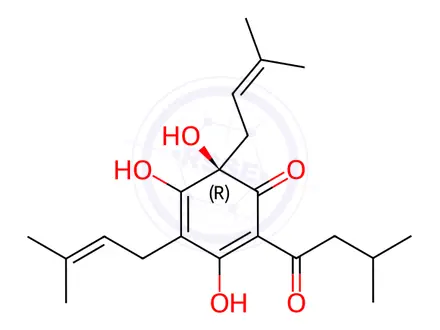 Chemical structure of Humulone