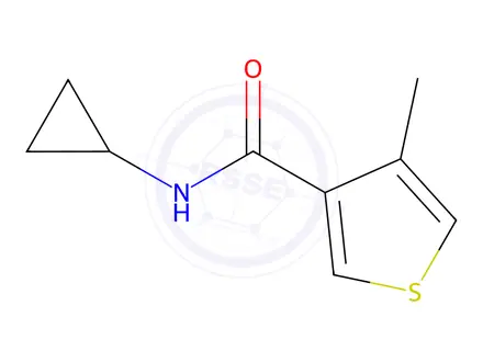 Chemical structure of N-Cyclopropyl-4-methyl-3-thiophenecarboxamide