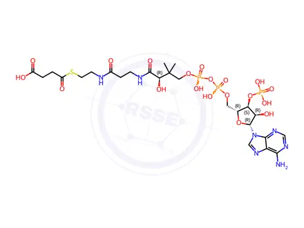 Chemical structure of Coenzyme A Impurity 5 Monomer (Succinyl Coenzyme A Monomer)