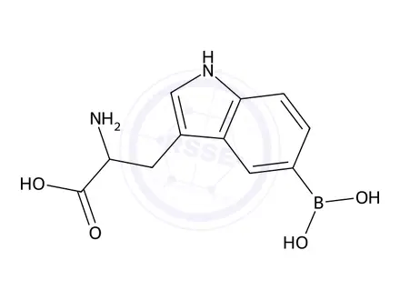 Chemical structure of 2-Amino-3-(5-borono-1H-indol-3-yl)propanoic acid