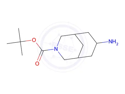 Chemical structure of tert-Butyl 7-amino-3-azabicyclo[3.3.1]nonane-3-carboxylate