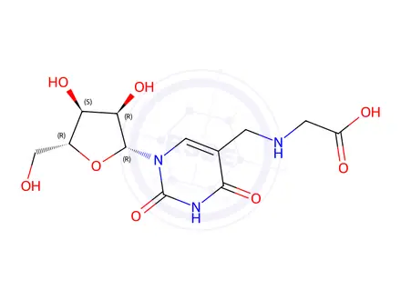Chemical structure of 5-Carboxymethylaminomethyluridine