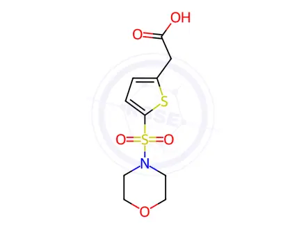 Chemical structure of [5-(Morpholine-4-sulfonyl)-thiophen-2-yl]-acetic acid