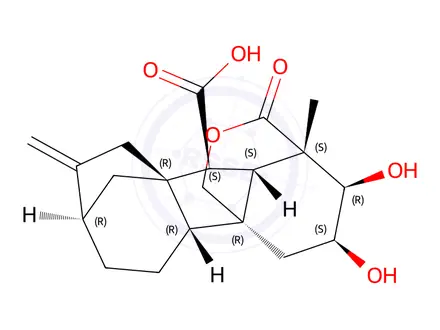 Chemical structure of 1α,4aα-(Carbonyloxymethylene)-2β,3β-dihydroxy-1β-methyl-8-methylenegibbane-10β-carboxylic acid