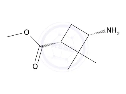 Chemical structure of Methyl cis-3-amino-2,2-dimethyl-cyclobutanecarboxylate