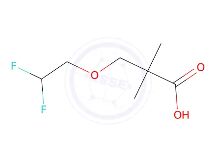 Chemical structure of 3-(2,2-difluoroethoxy)-2,2-dimethylpropanoic acid