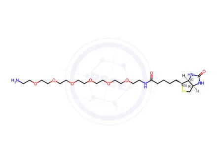 Chemical structure of Biotin-PEG6-Amine