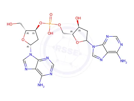 Chemical structure of 2'-deoxyadenylyl-(3'-5')-2'-deoxyadenosine