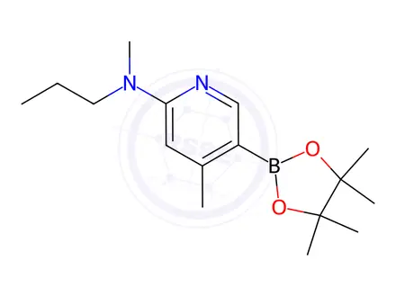 Chemical structure of N,4-diMethyl-N-propyl-5-(4,4,5,5-tetraMethyl-1,3,2-dioxaborolan-2-yl)pyridin-2-aMine