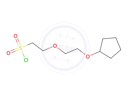 Chemical structure of 2-(2-(Cyclopentyloxy)ethoxy)ethane-1-sulfonyl chloride