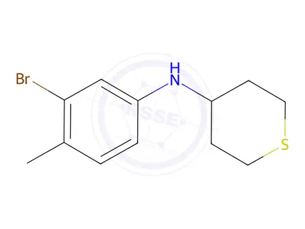 Chemical structure of n-(3-Bromo-4-methylphenyl)tetrahydro-2h-thiopyran-4-amine
