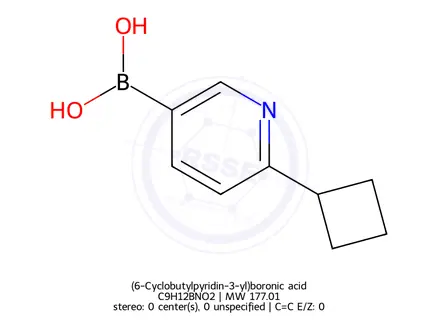 Chemical structure of (6-Cyclobutylpyridin-3-yl)boronic acid