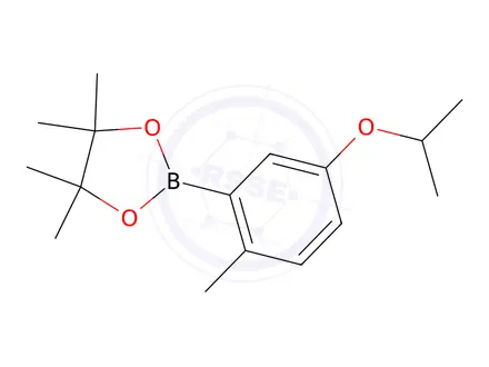 Chemical structure of 5-Isopropoxy-2-methylphenylboronic acid, pinacol ester