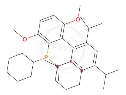 Chemical structure of BrettPhos