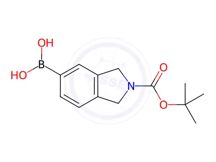 Chemical structure of N-Boc-1H-Isoindoline-5-boronic acid