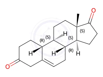 Chemical structure of Estr-5-ene-3,17-dione