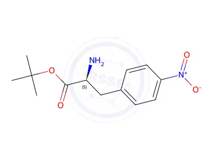 Chemical structure of tert-Butyl (S)-2-amino-3-(4-nitrophenyl)propanoate