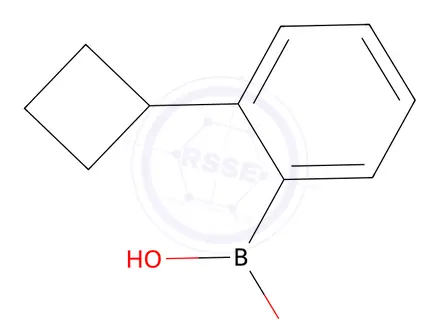 Chemical structure of (2-CYCLOBUTYLPHENYL)BORONIC ACID