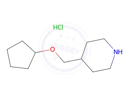 Chemical structure of 4-[(cyclopentyloxy)methyl]piperidine hydrochloride